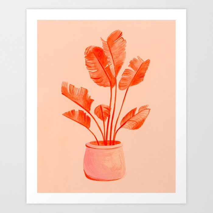 coral banana plant prints - badgedealers - Web Development, Graphic Design and Illustration Studio from Bergamo – Milano, Italia.