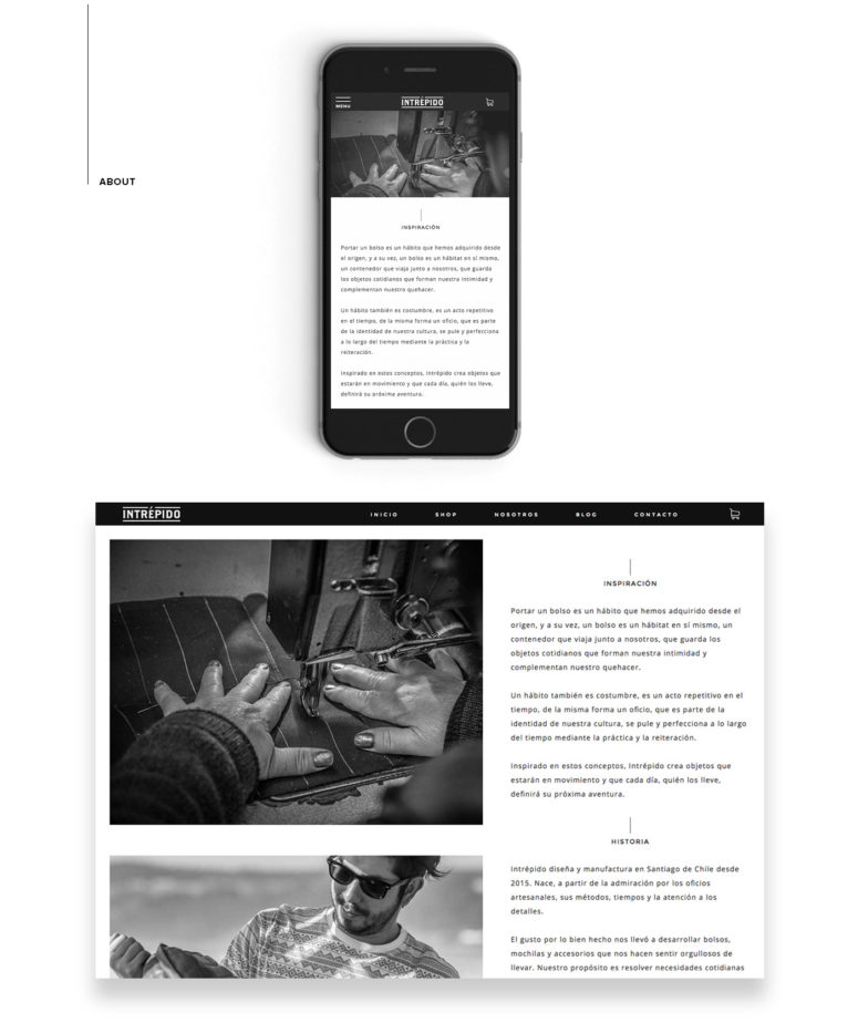 Intrépido E-Commerce Responsive Website Design on different devices