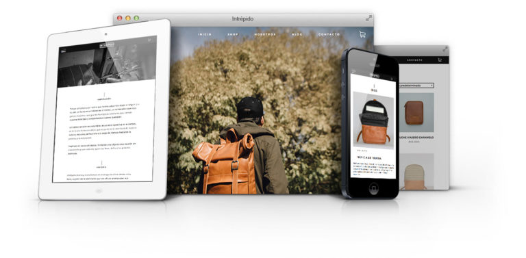 Intrepido Responsive Website Design on different devices